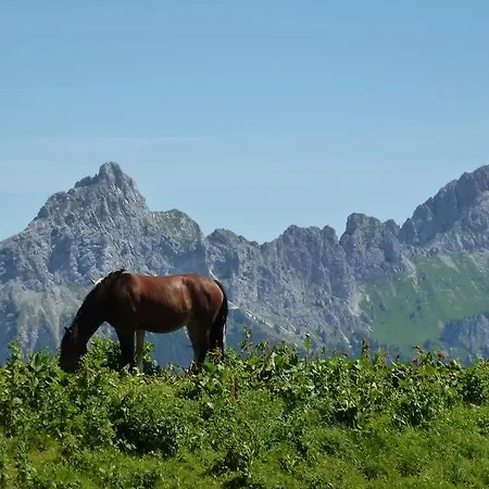 Almdorf Tirol Haldensee