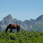 Almdorf Tirol ハルデンゼー