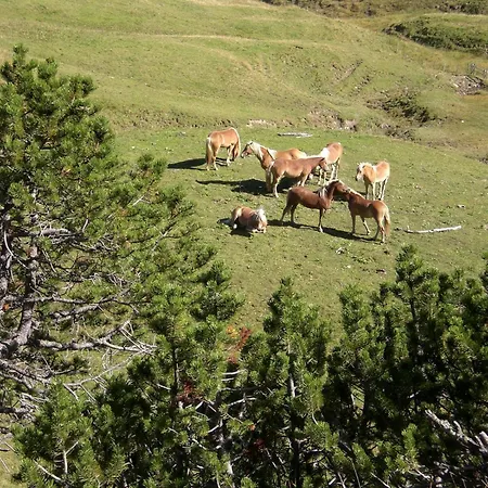 Kompleks wypoczynkowy Almdorf Tirol 3*