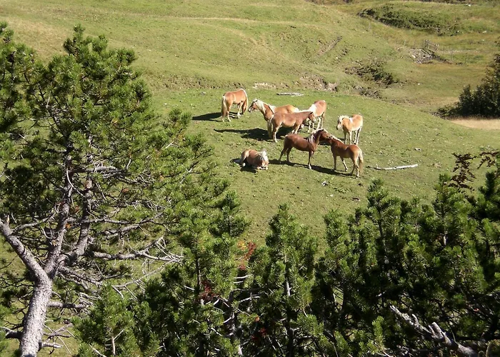 Holiday park Almdorf Tirol 3*