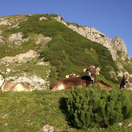 Almdorf Tirol 3* Хальдензе