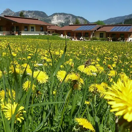 Almdorf Tirol Kompleks wypoczynkowy