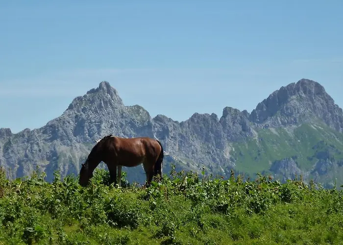 Almdorf Tirol Хальдензе